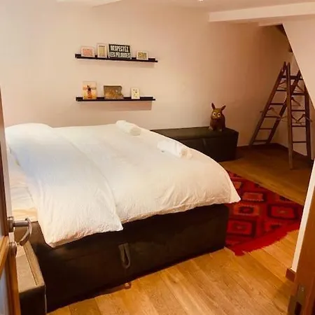 アパート Charming & Spacious Duplex Viewing The Lovely Mas アントウェルペン